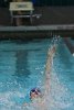 Swimming vs CGA  Wheaton College Swimming & Diving vs Coast Guard Academy. - Photo By: KEITH NORDSTROM : Wheaton, Swimming, diving